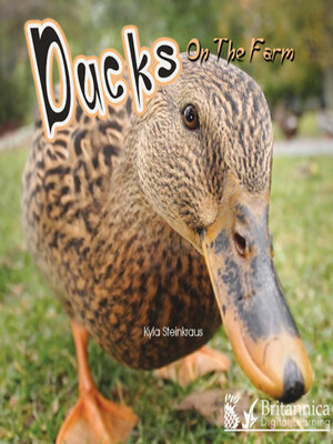 cover image of Ducks on the Farm